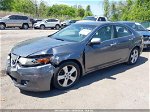 2010 Acura Tsx 2.4 Gray vin: JH4CU2F62AC021617