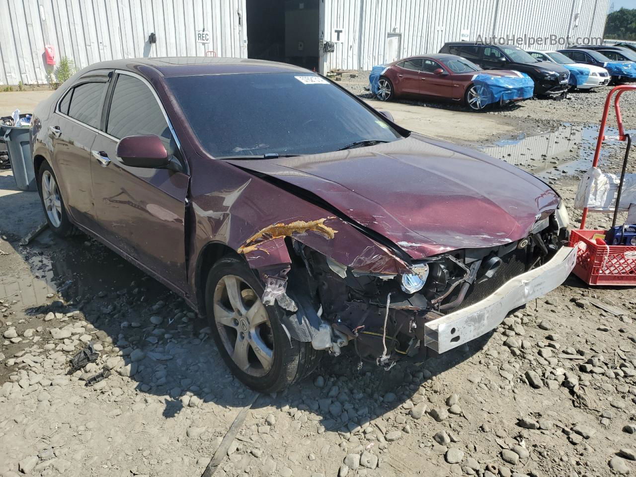 2010 Acura Tsx  Burgundy vin: JH4CU2F62AC041561