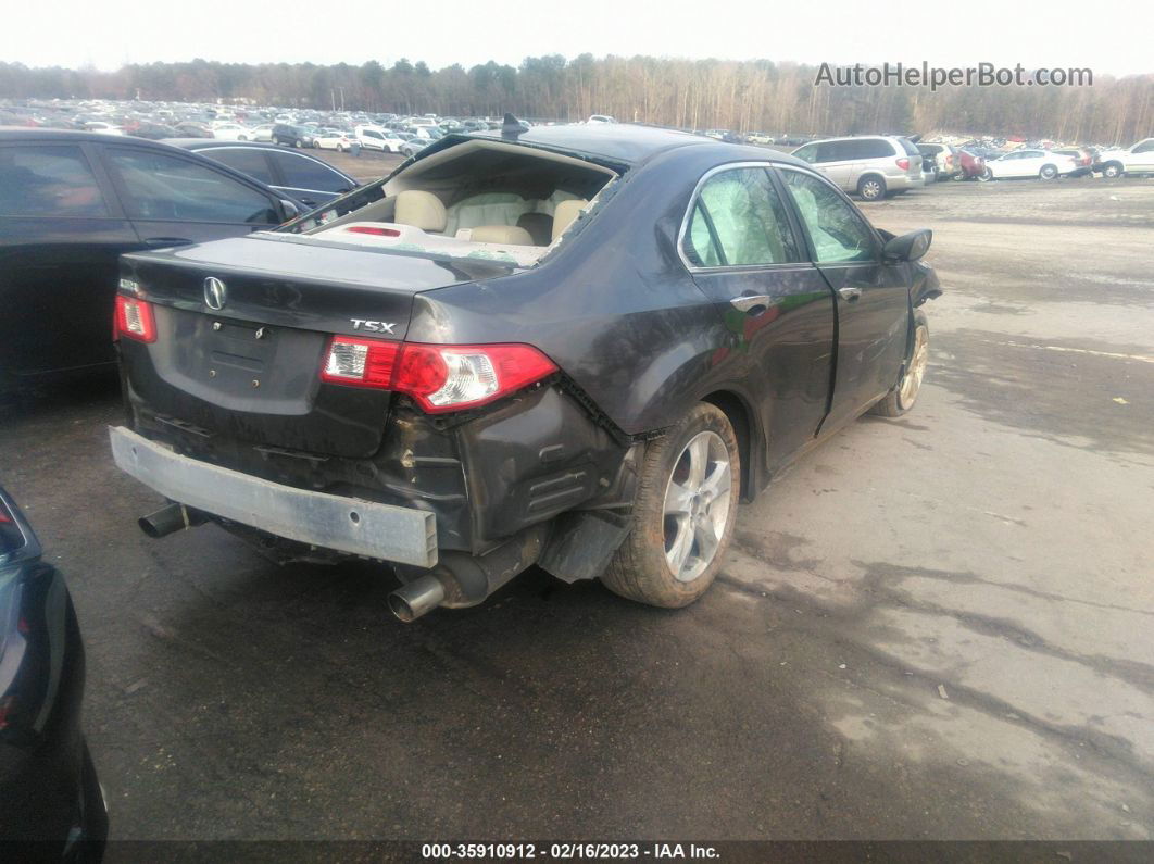 2010 Acura Tsx   Gray vin: JH4CU2F63AC003613