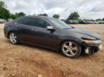 2010 Acura Tsx Серый vin: JH4CU2F63AC029290