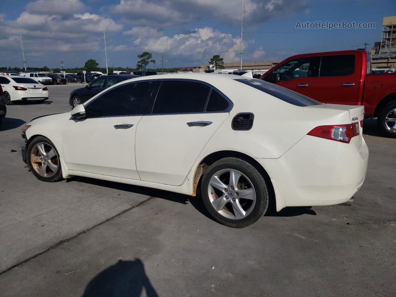 2010 Acura Tsx  Белый vin: JH4CU2F63AC037275