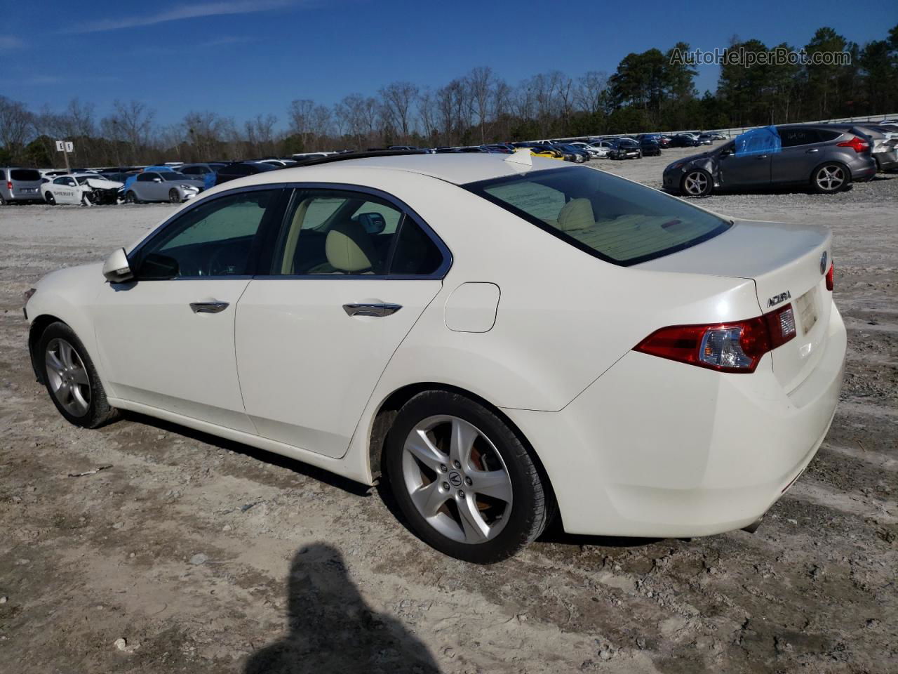 2010 Acura Tsx  White vin: JH4CU2F64AC018041