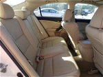 2010 Acura Tsx  Белый vin: JH4CU2F64AC018041