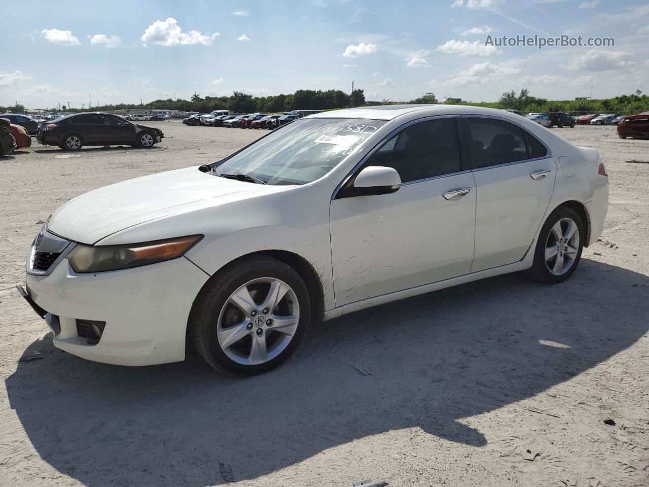 2010 Acura Tsx  Белый vin: JH4CU2F64AC035812