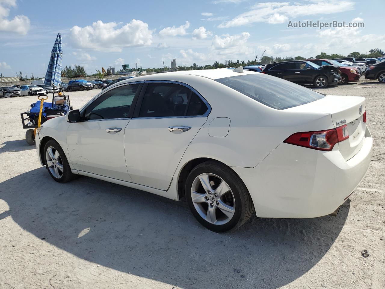 2010 Acura Tsx  White vin: JH4CU2F64AC035812