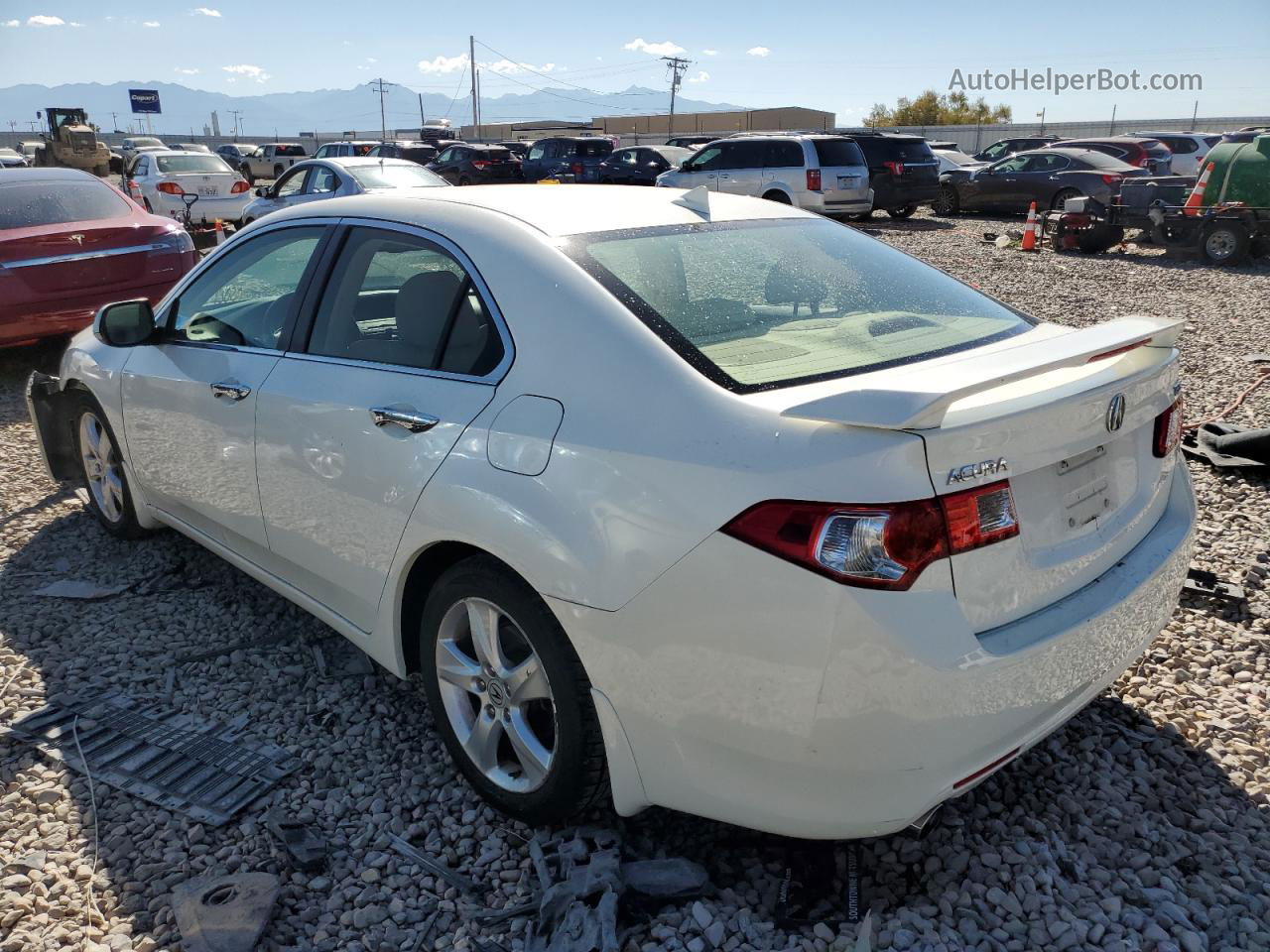 2010 Acura Tsx  White vin: JH4CU2F65AC004892