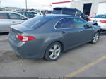 2010 Acura Tsx 2.4 Gray vin: JH4CU2F65AC006920