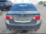 2010 Acura Tsx 2.4 Gray vin: JH4CU2F65AC006920