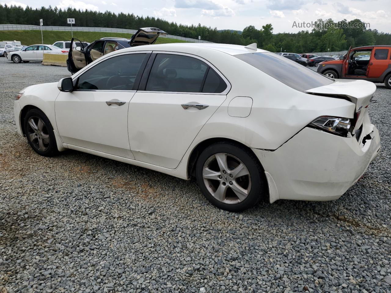 2010 Acura Tsx  Белый vin: JH4CU2F65AC011924