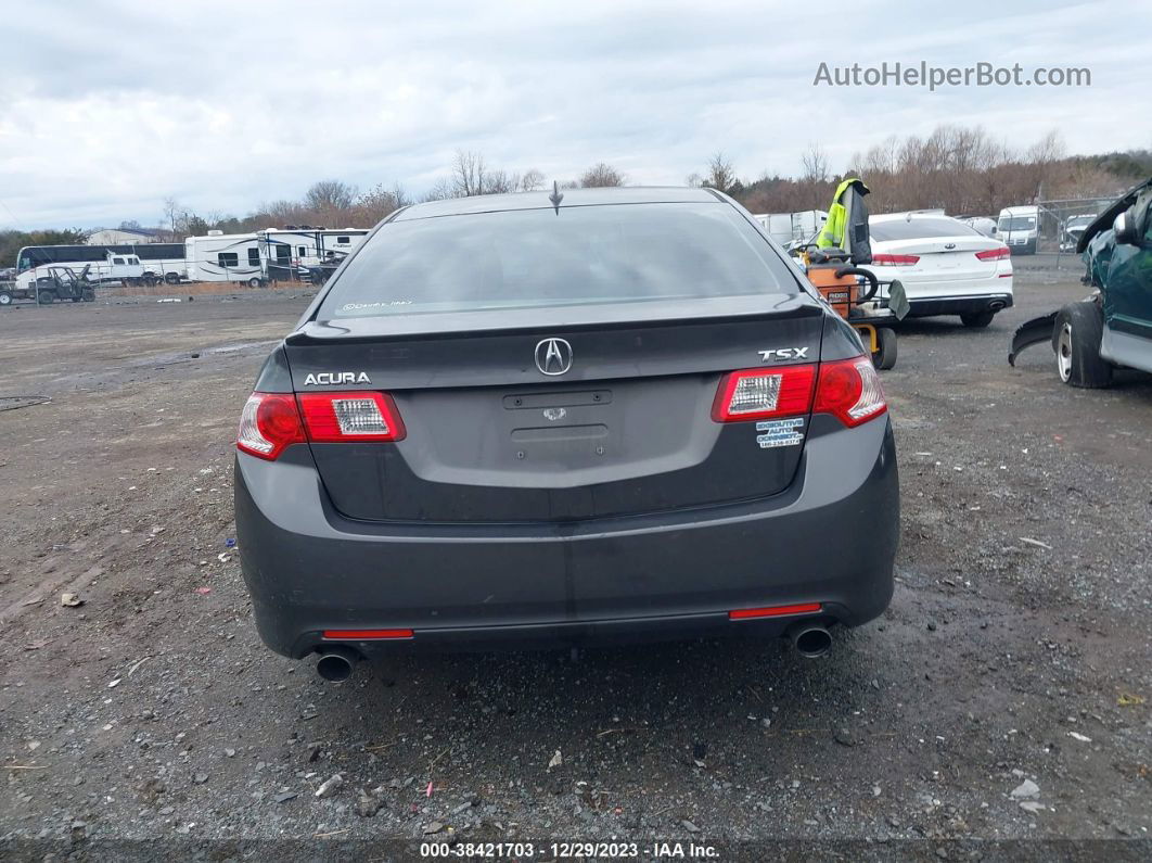 2010 Acura Tsx 2.4 Gray vin: JH4CU2F65AC012443