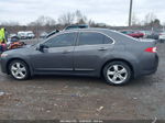 2010 Acura Tsx 2.4 Gray vin: JH4CU2F65AC012443