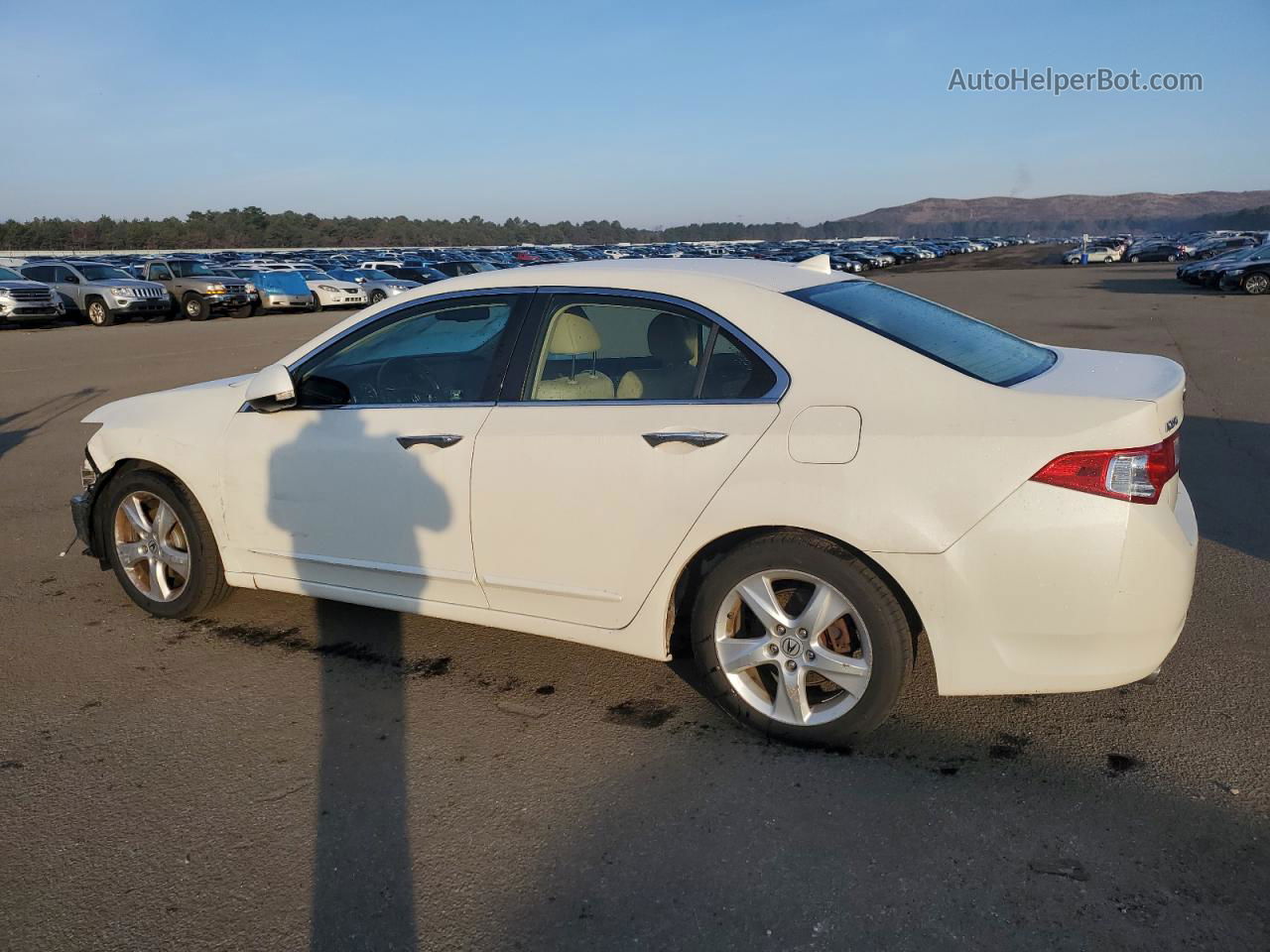 2010 Acura Tsx  Белый vin: JH4CU2F65AC013110