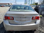 2010 Acura Tsx  Silver vin: JH4CU2F65AC018694