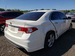 2010 Acura Tsx  White vin: JH4CU2F65AC030067