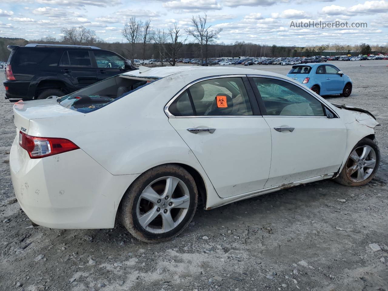 2010 Acura Tsx  White vin: JH4CU2F65AC036631