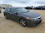 2010 Acura Tsx  Gray vin: JH4CU2F65AC039741