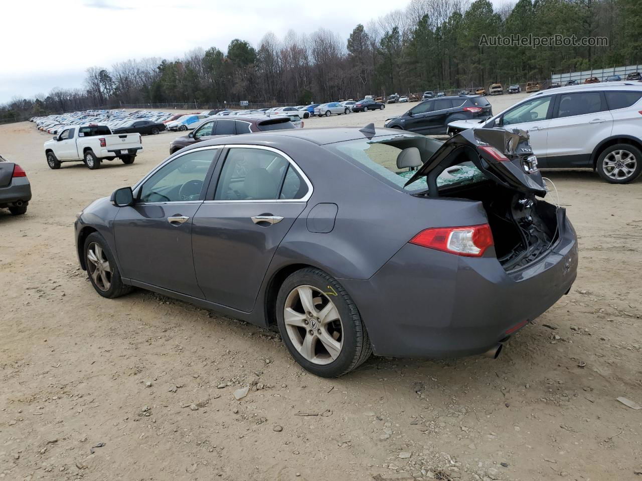 2010 Acura Tsx  Gray vin: JH4CU2F65AC039741