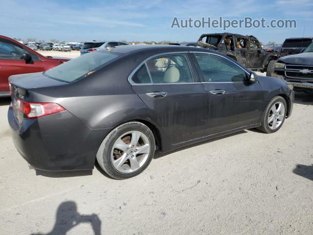 2010 Acura Tsx  Gray vin: JH4CU2F66AC004559