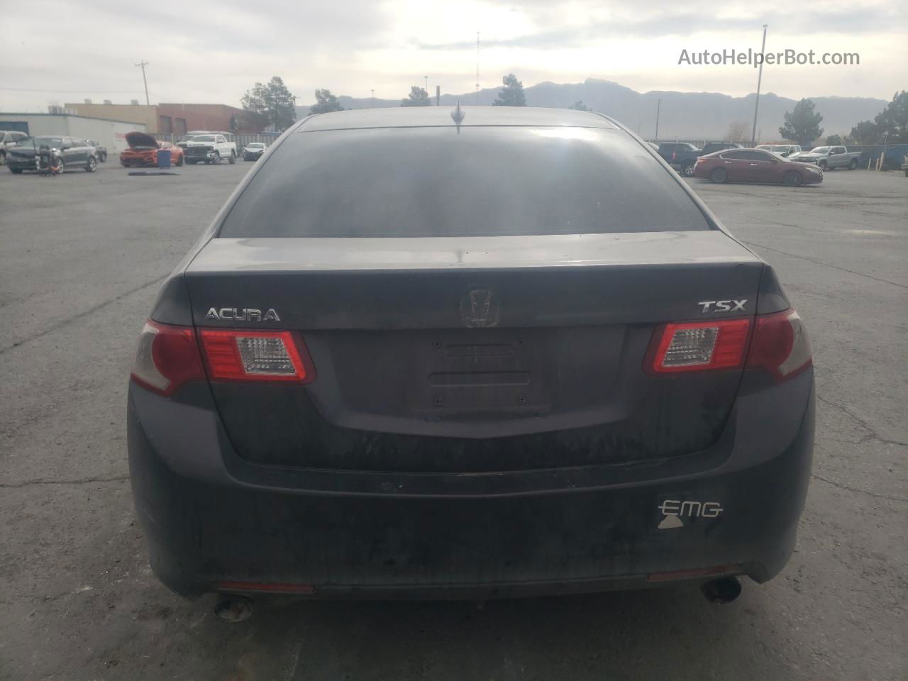 2010 Acura Tsx  Gray vin: JH4CU2F66AC037593