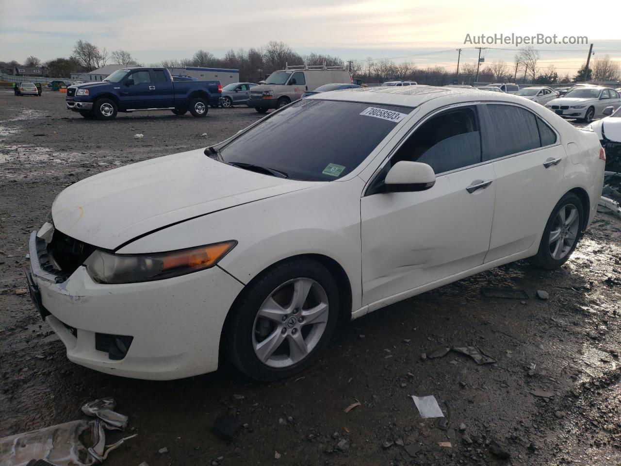 2010 Acura Tsx  White vin: JH4CU2F66AC040655