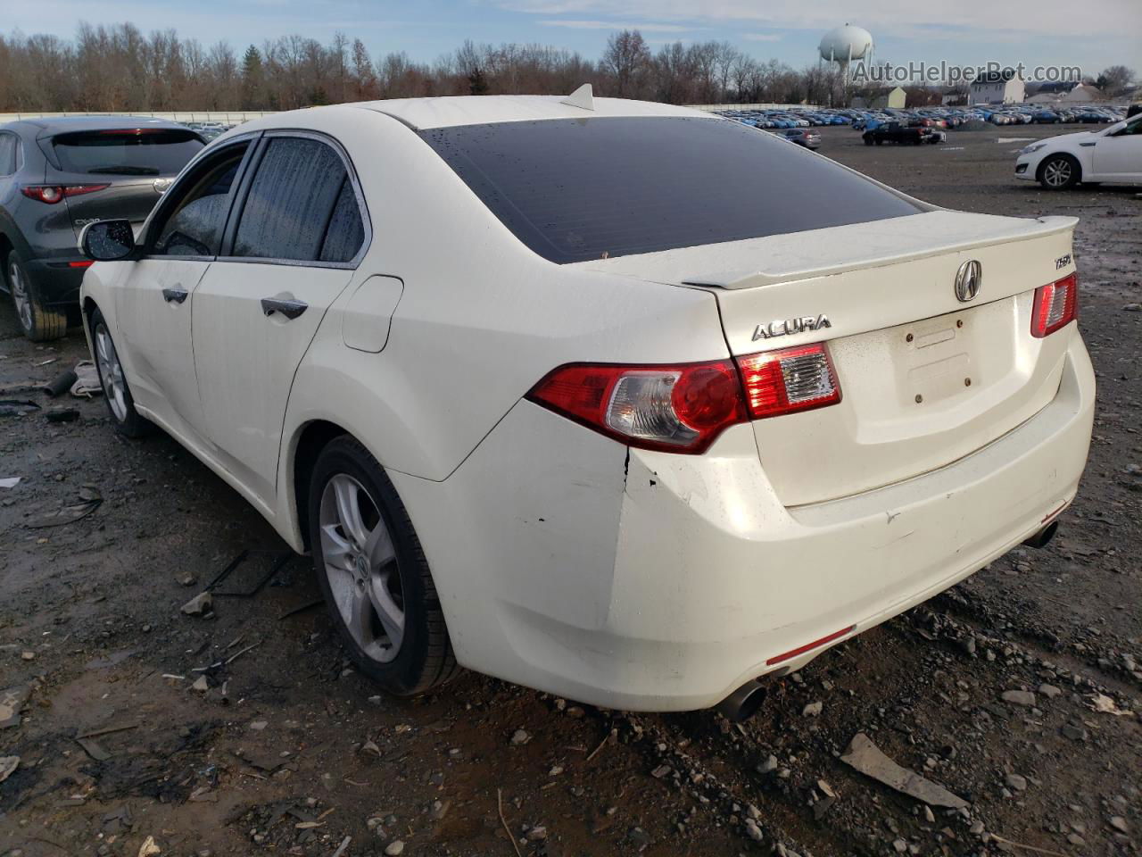 2010 Acura Tsx  White vin: JH4CU2F66AC040655