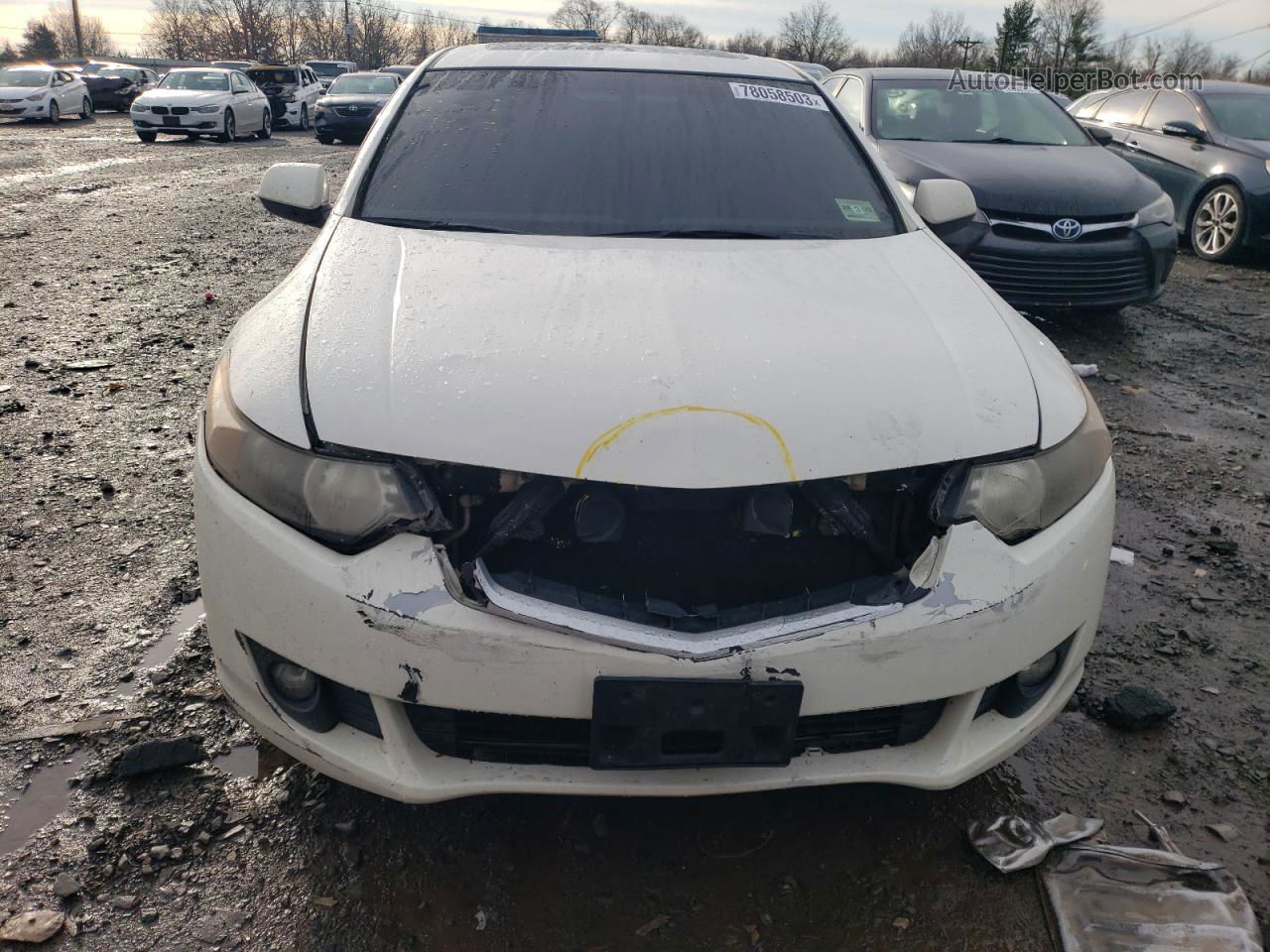 2010 Acura Tsx  White vin: JH4CU2F66AC040655