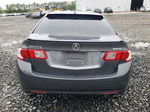 2010 Acura Tsx  Gray vin: JH4CU2F67AC008202