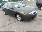 2010 Acura Tsx   Gray vin: JH4CU2F67AC013397