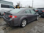 2010 Acura Tsx  Charcoal vin: JH4CU2F67AC019197