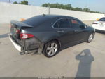 2010 Acura Tsx   Gray vin: JH4CU2F67AC039563