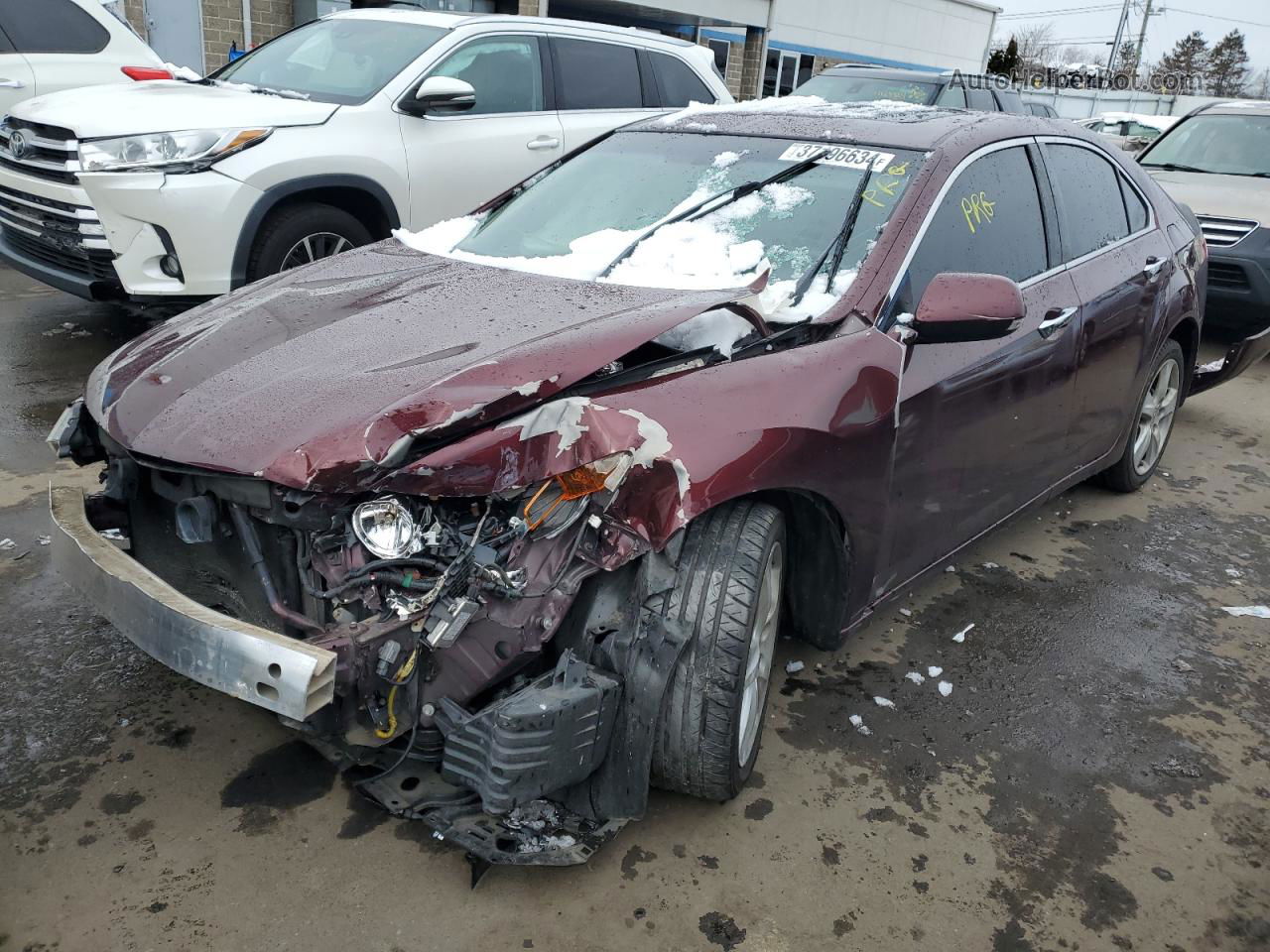 2010 Acura Tsx  Maroon vin: JH4CU2F67AC043354