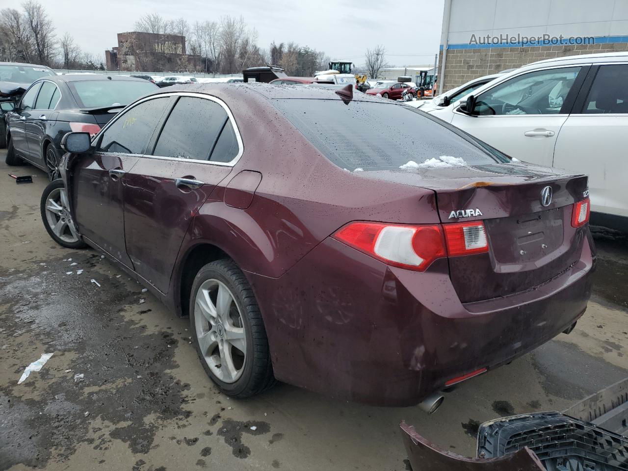 2010 Acura Tsx  Maroon vin: JH4CU2F67AC043354