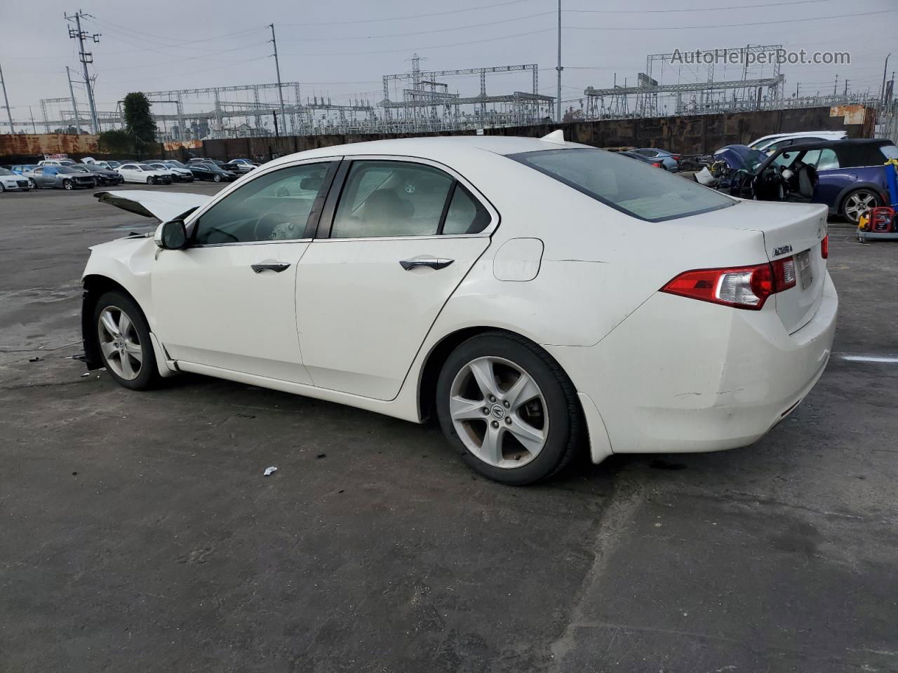 2010 Acura Tsx  Белый vin: JH4CU2F68AC003106