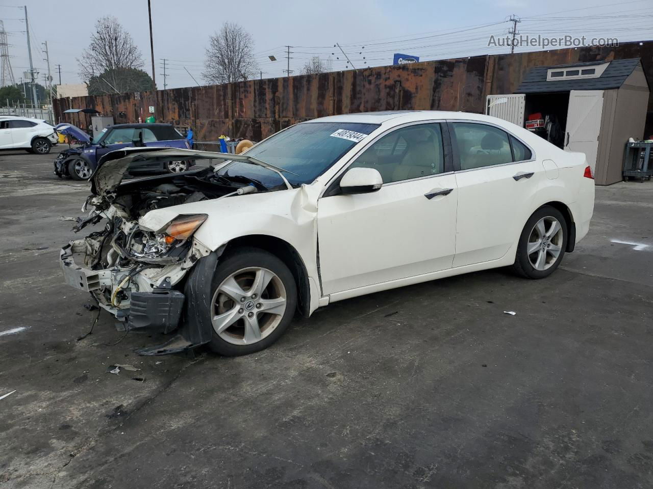 2010 Acura Tsx  Белый vin: JH4CU2F68AC003106