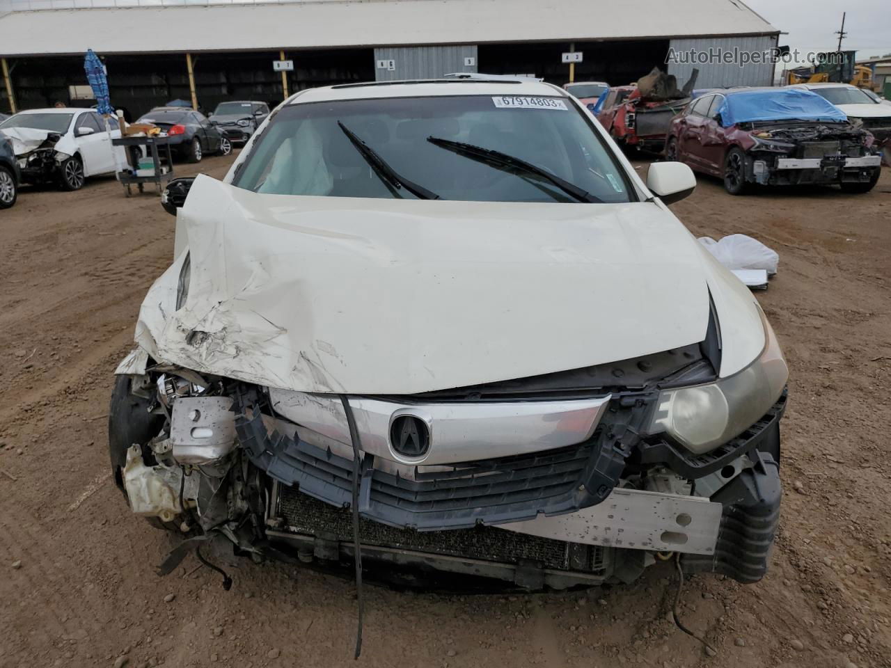 2010 Acura Tsx  White vin: JH4CU2F68AC008340