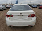 2010 Acura Tsx  White vin: JH4CU2F68AC008340