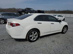 2010 Acura Tsx  White vin: JH4CU2F68AC013649