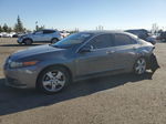 2010 Acura Tsx  Gray vin: JH4CU2F68AC017703