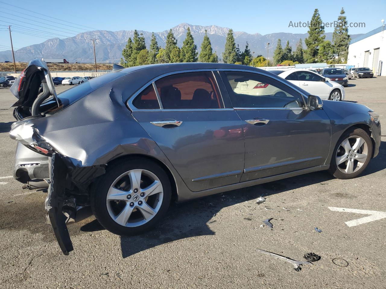 2010 Acura Tsx  Серый vin: JH4CU2F68AC017703