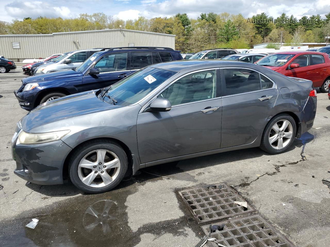 2010 Acura Tsx  Gray vin: JH4CU2F68AC040270