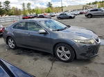 2010 Acura Tsx  Gray vin: JH4CU2F68AC040270