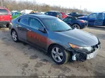 2010 Acura Tsx 2.4 Gray vin: JH4CU2F69AC000599