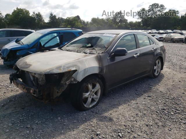 2010 Acura Tsx  Gray vin: JH4CU2F69AC000666