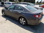 2010 Acura Tsx  Gray vin: JH4CU2F69AC004491