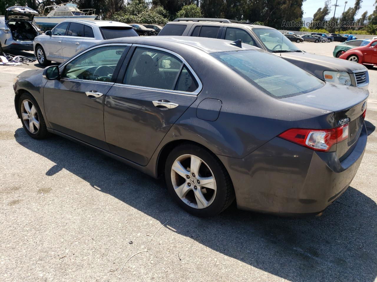 2010 Acura Tsx  Gray vin: JH4CU2F69AC004491