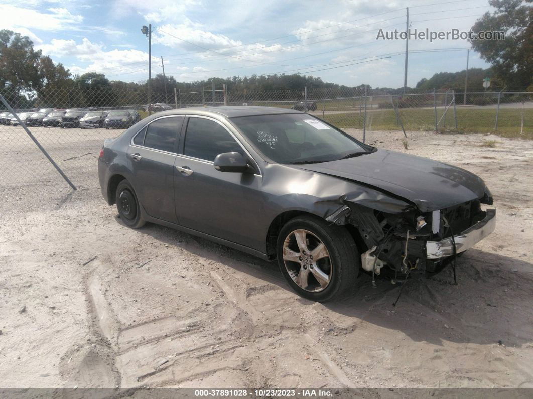 2010 Acura Tsx 2.4 Gray vin: JH4CU2F69AC012333