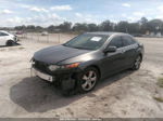 2010 Acura Tsx 2.4 Gray vin: JH4CU2F69AC012333