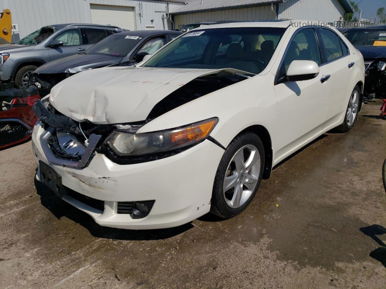 2010 Acura Tsx  White vin: JH4CU2F69AC014924