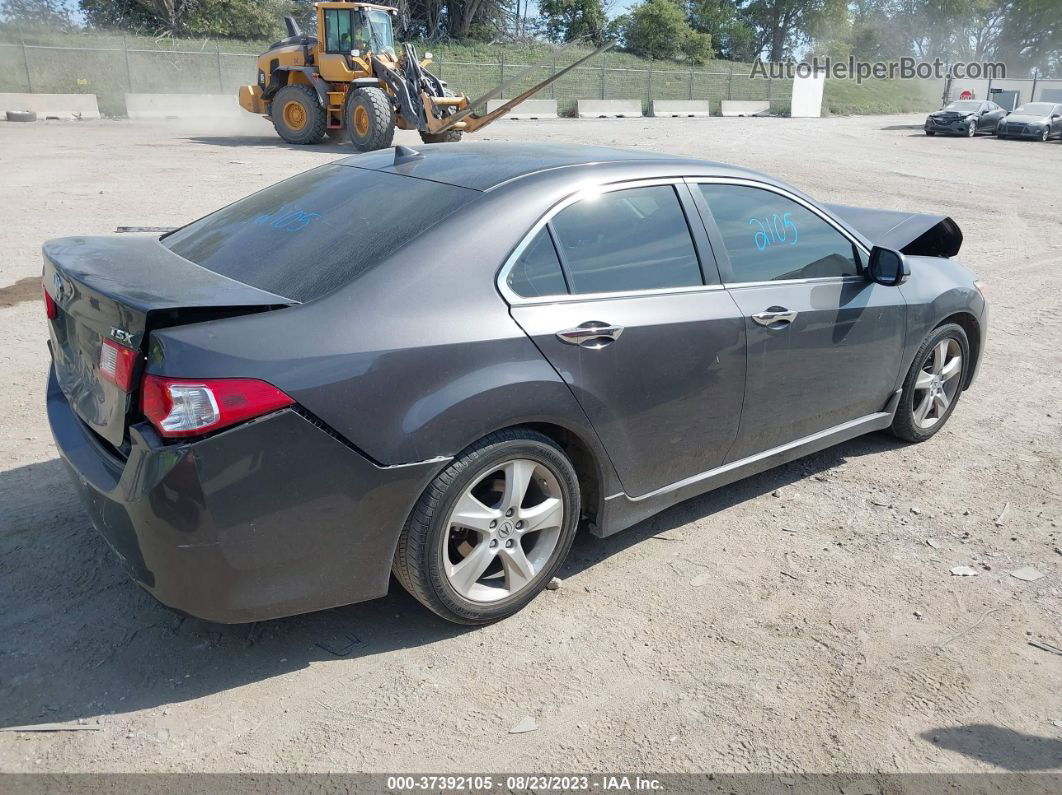 2010 Acura Tsx   Gray vin: JH4CU2F69AC022358