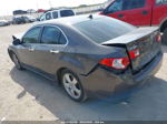 2010 Acura Tsx   Gray vin: JH4CU2F69AC022358